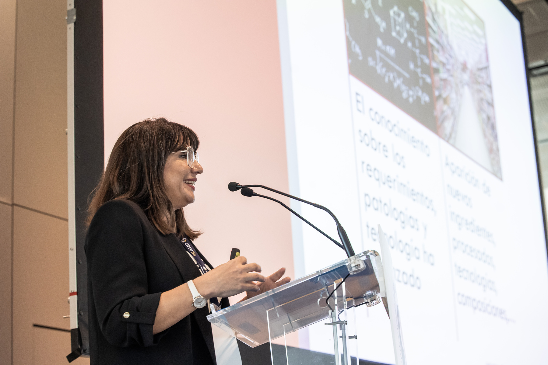 conferencias - cipeu (93)